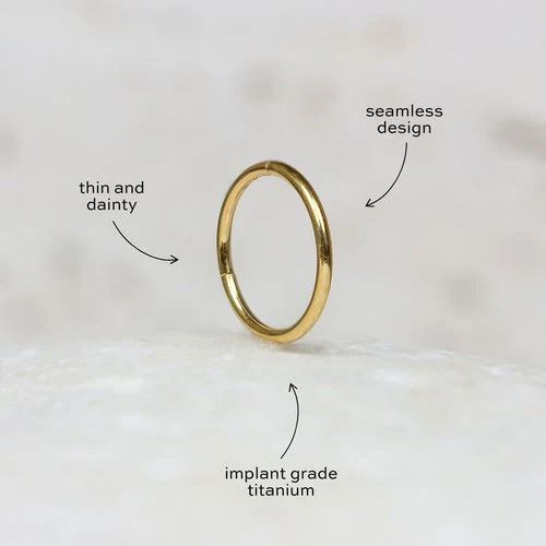 Nose/Cartilage Hoop - Image 5